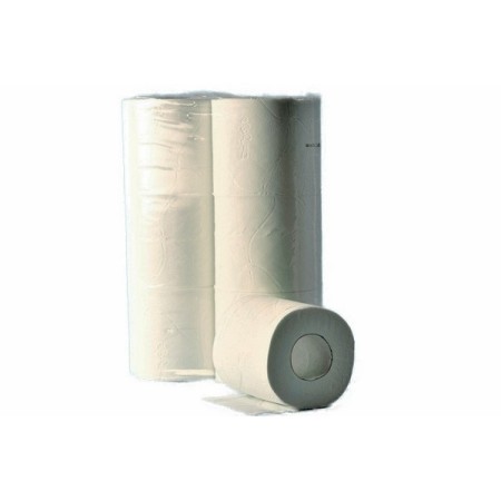 Toilettenpapier Kleinrollen 60 Rollen (10 x 6)