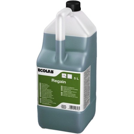 Regain Allzweckreiniger 2 Stück