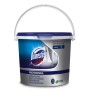Domestos Professional Beckensteine 1 Eimer