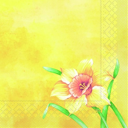 Mank Tissue Serviette 600 Stück (6 x 100)