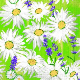 Serviette 600 Stück (6 x 100)