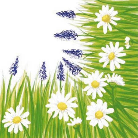 Mank Linclass Servietten 300 Stück (6 x 50)