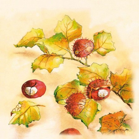 Mank Linclass Servietten 300 Stück (6 x 50)