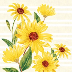 Mank Linclass Servietten 300 Stück (6 x 50)