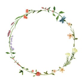 Mank Linclass Servietten 300 Stück (6 x 50)