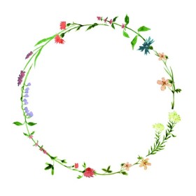 Serviette 300 Stück (6 x 50)