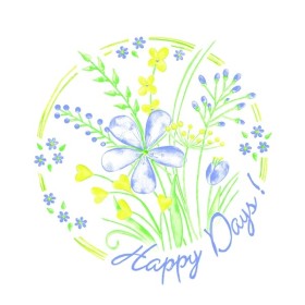 Serviette 300 Stück (6 x 50)