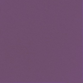 BioDunisoft Servietten 720 Stück (12 x 60)