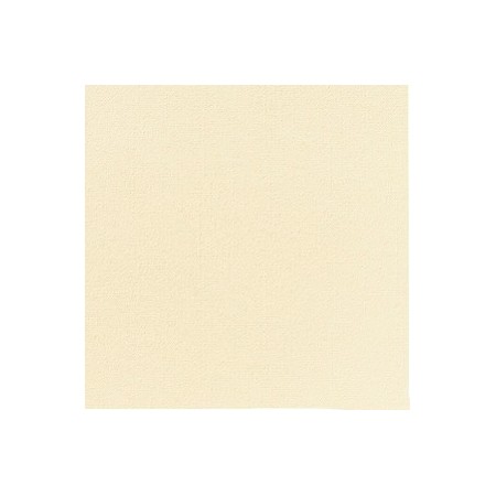 BioDunisoft Servietten 720 Stück (12 x 60)