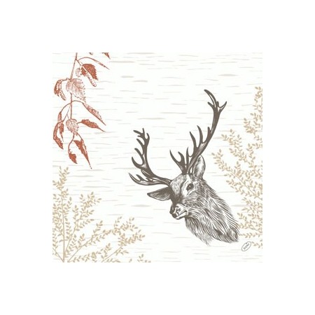 BioDunisoft Servietten 360 Stück (6 x 60)