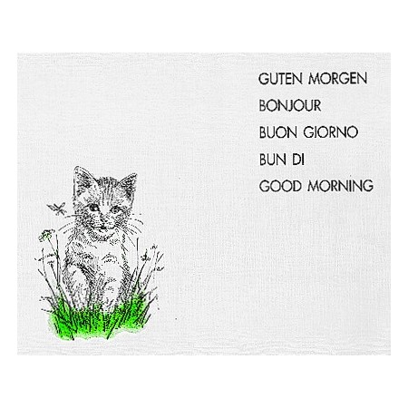 Tischset Katze 500 Stück