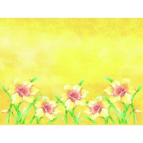 Mank Linclass Tischset 600 Stück (6 x 100)