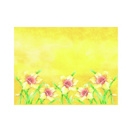 Mank Linclass Tischset 600 Stück (6 x 100)