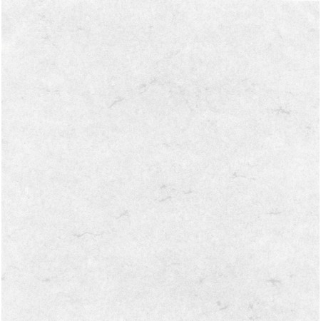 Einlageblätter A4 Efalan 100 Stück