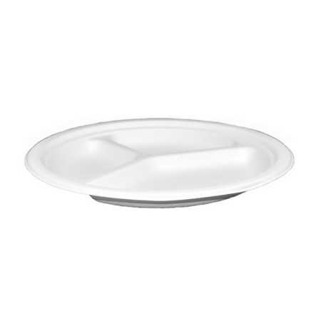 Teller 500 Stück (10 x 50)