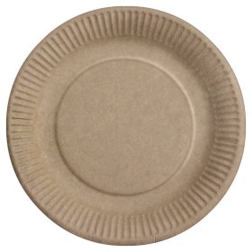 Teller 500 Stück (5 x 100)