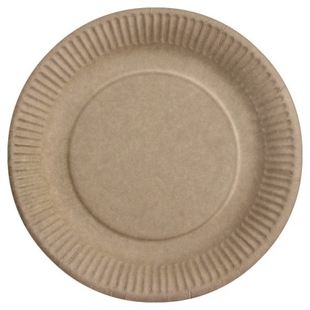 Teller 500 Stück (5 x 100)