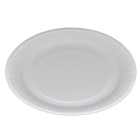 Kartonteller 500 Stück (5 x 100)