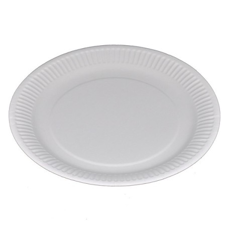 Kartonteller 500 Stück (5 x 100)