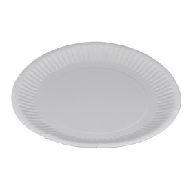 Teller 1000 Stück (10 x 100)