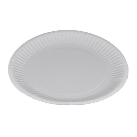 Teller 1000 Stück (10 x 100)