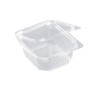 Rechteckschale mit Scharnierdeckel 600 Stück (6 x 100)