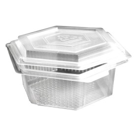 Schale 300 Stück (6 x 50)