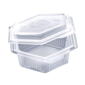 Schale 300 Stück (6 x 50)