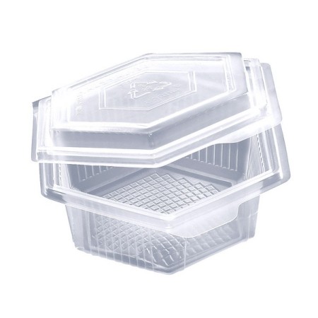 Schale 300 Stück (6 x 50)