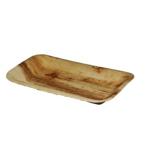 Schale 100 Stück (4 x 25)