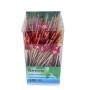 Lunica Fingerfoodspiesse 2400 Stück (24 x 100)