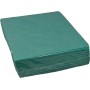 Allzwecktuch «Disposable Cloth» 100 Stück (10 x 10)