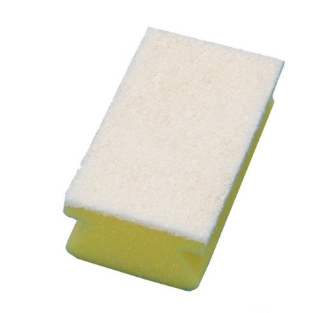 Pad-Schwamm 10 Stück