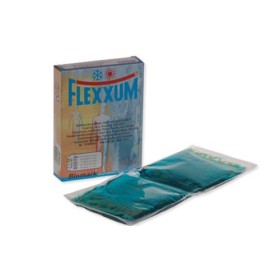 Flexxum Kompressen kalt / heiss mit Vlieshülle 12 Stück Flexxum Kompressen kalt / heiss mit Vlieshülle 12 Stück