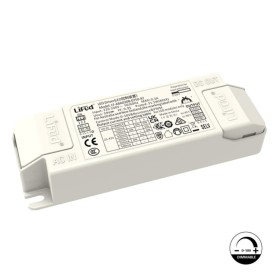 Treiber Lifud – Dimmbar 0–10V – Für LED-Leuchten bis 30W – Kein Flackern – Ausgang 25–42V DC 500–750mA Treiber Lifud – Dimmbar 0–10V – Für LED-Leuchten bis 30W – Kein Flackern – Ausgang 25–42V DC 500–750mA