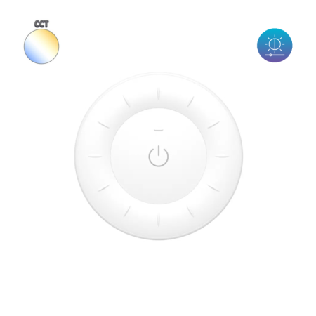 Mini-Fernbedienung RF - Drehbare Scheibe - Einfarbig