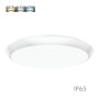 LED-Deckenleuchte für die Oberfläche - IP65 - 20W - 16W - 12W - CCT - Wählbare Farbe