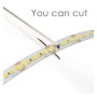 LED-Streifen 24V | 120xLED/m | 5m | SMD2835 | 1680Lm | 12W/M | IP20