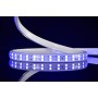 50m LED-Streifen COLORADO blau 9W 220-240V IP65 Wasserdicht
