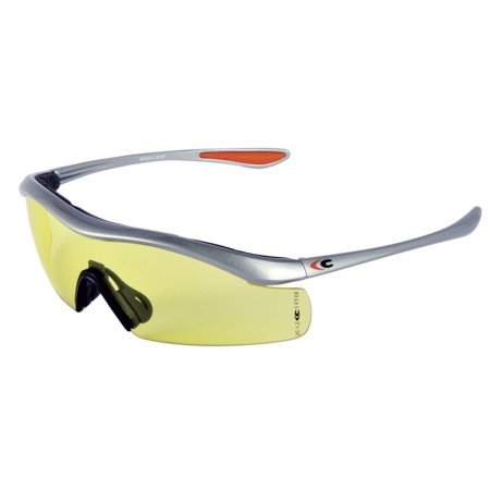 Schutz-Brillen WIDEN (1 Box: 10 Brillen)