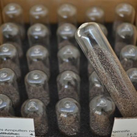 Ampullen Calcium Carbid zu CM-Gerät – 25 Stück