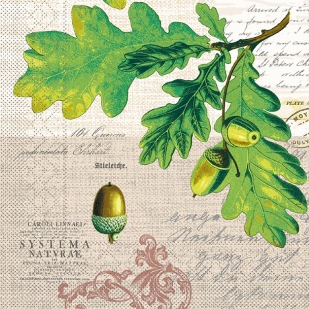 Mank Tissue Servietten 600 Stück 
(6 x 100)