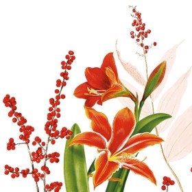 Mank Linclass Premium Serviette 300 Stück 
(6 x 50)