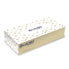 Lucart EcoNatural 100 V Standard Kosmetiktuch 40 Boxen