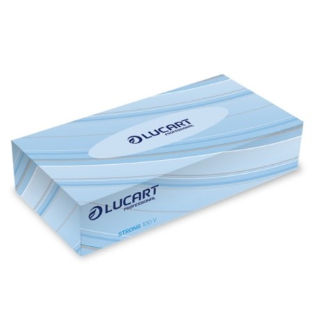 Lucart Kosmetiktuch 40 Boxen