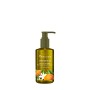 Hair & Body Shampoo, 12 Flaschen