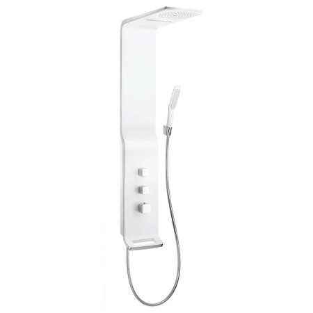 hansgrohe Raindance Lift Duschpaneel
