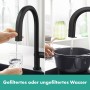 hansgrohe Aqittura M91 Filtersystem 210, Ausziehauslauf, 1jet, sBox, Starter Set