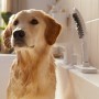 hansgrohe DogShower Hundebrause 150 3 Strahlarten Select