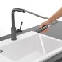 Villeroy & Boch Steel Shower Einhebel-Küchenarmatur